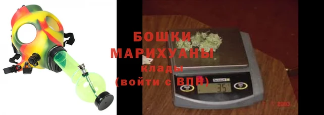 ALPHA PVP Елизово