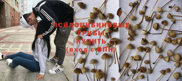 ALPHA PVP Елизово