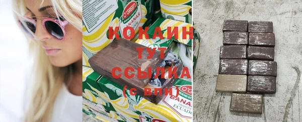 ALPHA PVP Елизово