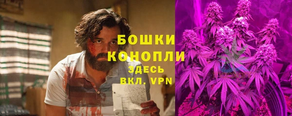 первитин Ельня