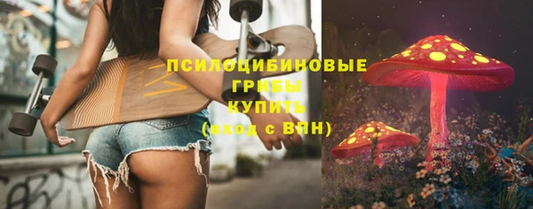 ALPHA PVP Елизово