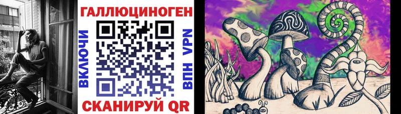 Галлюциногенные грибы мицелий  Купить закладки  Челябинск 